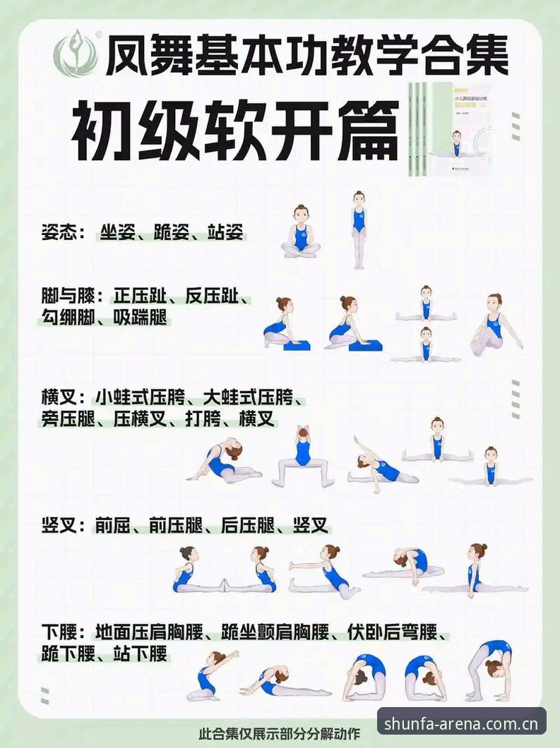 顺发体育功能使用教程：从入门到精通的完整操作指南